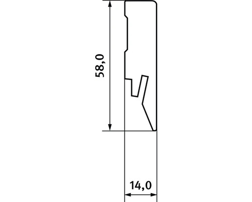 Abmessungen eines Sockelleistenprofils: 58,0 mm Höhe und 14,0 mm Tiefe