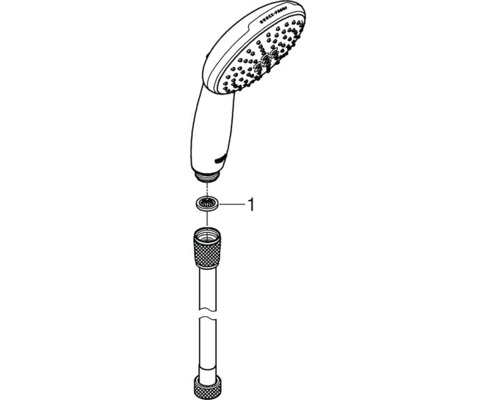 Handbrause mit Brauseschlauch und Dichtung
