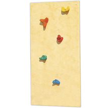 Kletterwand mit verschiedenen Klettergriffen