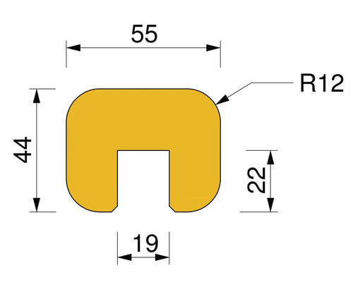 Technische Zeichnung eines Profils mit Maßangaben: 55 mm Breite, 44 mm Höhe, 19 mm Einschnitt und einem Radius von 12 mm.