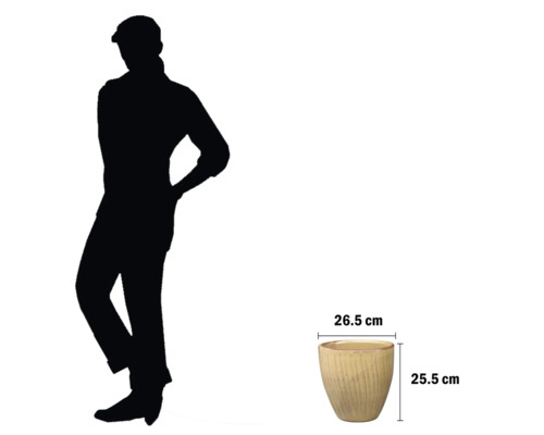 Blumentopf mit Größenangaben als Referenz für die Pflanzgefäßgröße