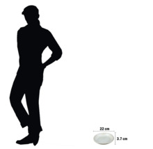 Teller mit den Maßen 22 cm Durchmesser und 3,7 cm Höhe