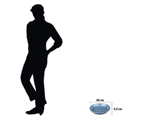 Servierteller mit 30 cm Durchmesser und 4,5 cm Höhe