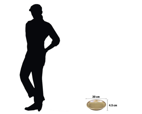 Schale, Durchmesser 30 cm, Höhe 4,5 cm, mit Größenangaben