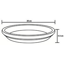 Zeichnung eines Pflanzuntersetzers mit den Maßen 30 cm x 4,5 cm.