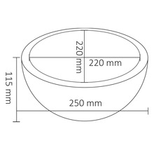 Technische Zeichnung einer Schale mit den Maßen 220 mm, 115 mm und 250 mm.