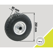 Rad mit den Maßen 260 mm Höhe und 85 mm Breite, Traglast bis 100 kg