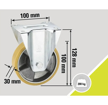 Lenkrolle mit den Maßen 100 x 100 x 128 mm und einer Traglast von 200 kg