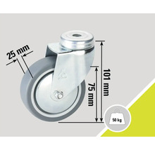 Lenkrolle mit einem Durchmesser von 75 Millimeter und einer Traglast von 50 Kilogramm.