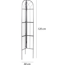 Metall-Pflanzkletterhilfe mit den Maßen 120 cm x 30 cm