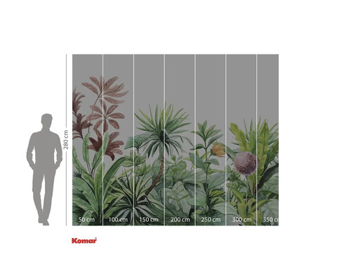 Fototapete mit Dschungelmotiv und Größenangaben.