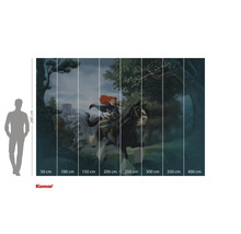 Fototapete mit einem Motiv aus dem Film Merida – Legende der Highlands, Größenangaben inklusive