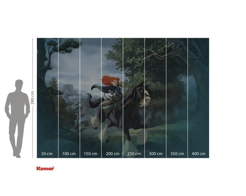 Fototapete mit einem Motiv aus dem Film Merida – Legende der Highlands, Größenangaben inklusive