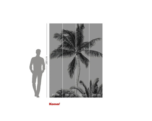 Fototapete mit Palmenmotiv und Höhenangabe