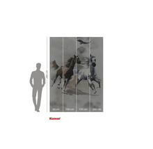 Komar Fototapete mit Pferdemotiv und Größenangaben