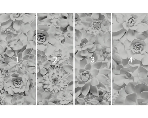 Fototapete mit Sukkulentenmotiv, bestehend aus vier Teilen