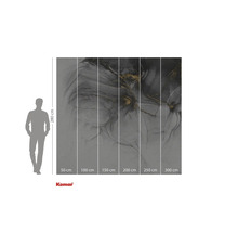 Komar Fototapete mit abstraktem Muster in Grau und Gold, Größenangaben.