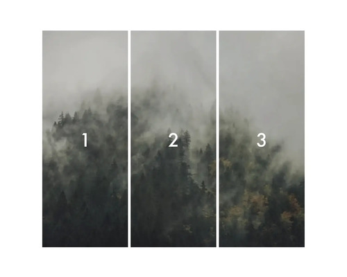 Dreiteiliges Waldtapetenmotiv mit Nebel