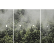 Vierteilige Fototapete mit Waldmotiv und Nebel
