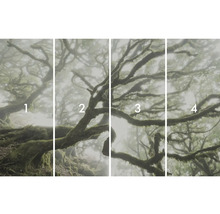 Vierteiliges Fotomotiv eines Nebelwaldes