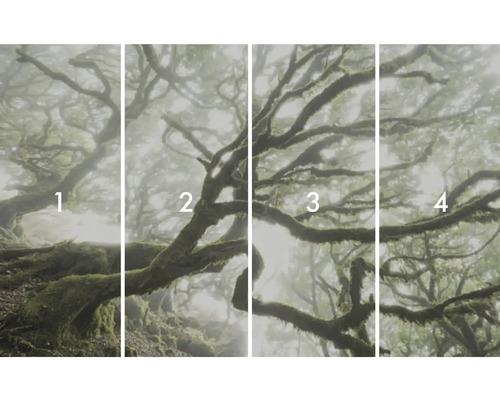 Vierteiliges Fotomotiv eines Nebelwaldes