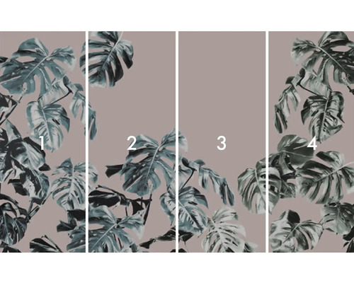 Vierteilige Fototapete mit Monstera-Blatt-Motiv