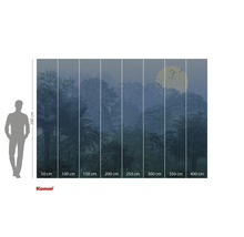 Komar Fototapete mit Dschungel Motiv und Größenangaben