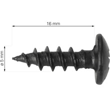 Eine 16 Millimeter lange und 5 Millimeter dicke Schnellbauschraube.