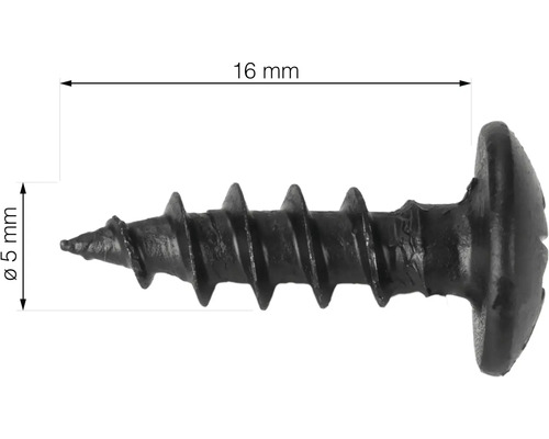 Eine 16 Millimeter lange und 5 Millimeter dicke Schnellbauschraube.