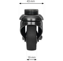 Möbelrolle mit Gewinde, Durchmesser 43 Millimeter und Radbreite 19 Millimeter