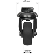 Möbelrolle mit Gewinde und den Maßen 43 mm und 19 mm