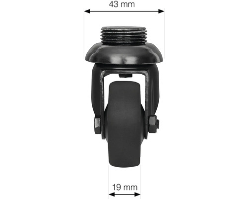 Möbelrolle mit Gewinde und den Maßen 43 mm und 19 mm