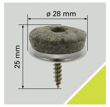 Filzgleiter mit Schraube, Durchmesser 28 Millimeter, Höhe 25 Millimeter