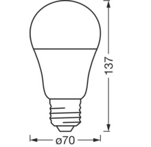 Illustration einer Glühbirne mit den Maßen 137 mm Höhe und 70 mm Durchmesser