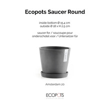 Ecopots grauer runder Untersetzer für den Blumentopf Amsterdam 20, Kunststoff, Außendurchmesser 18 Zentimeter, Höhe 2,5 Zentimeter.