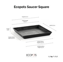 Ecopots Saucer Square Untersetzer mit Maßen: 28 mal 28 mal 3 Zentimeter, Innenmaß 26 Zentimeter, Gewicht 0,5 Kilogramm, Inhalt 1,65 Liter.