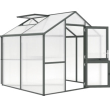 Gewächshaus mit Dachfenster und geöffneter Tür