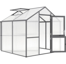 Gewächshaus mit Dachfenster und geöffneter Tür