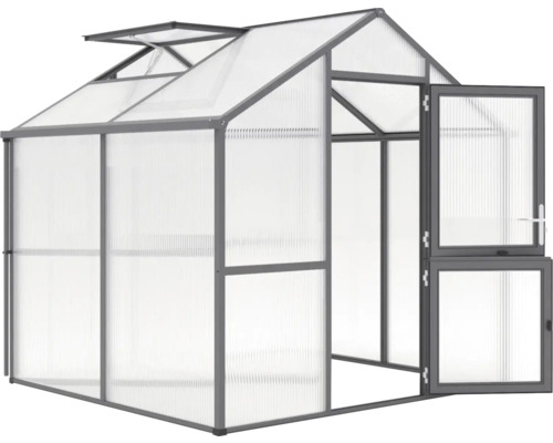 Gewächshaus mit Dachfenster und geöffneter Tür