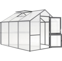 Gewächshaus mit offenstehender Tür und Dachfenster