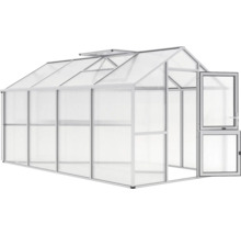 Gewächshaus mit Dachfenstern und geöffneter Tür