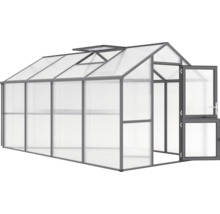 Gewächshaus mit Dachfenster und geöffneter Tür