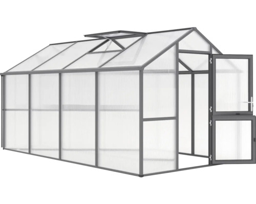 Gewächshaus mit Dachfenster und geöffneter Tür