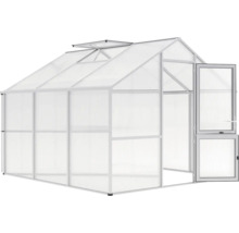 Gewächshaus mit geöffneter Tür und Dachfenster