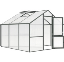 Gewächshaus mit Dachfenstern und geöffneter Tür