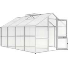 Gewächshaus mit Dachfenster und geöffneter Tür