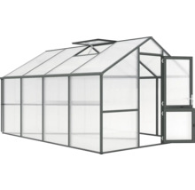 Gewächshaus mit geöffneter Tür und Dachfenster