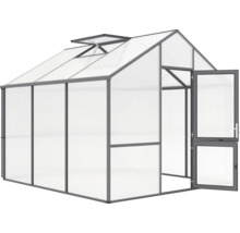 Gewächshaus mit geöffneter Tür und Dachfenster