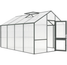 Gewächshaus mit geöffneter Tür und Dachfenster