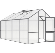 Gewächshaus mit geöffneter Tür und Dachfenster.